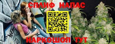 индика Кунгур
