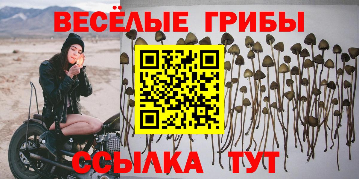 Псилоцибиновые грибы Magic Shrooms Туймазы